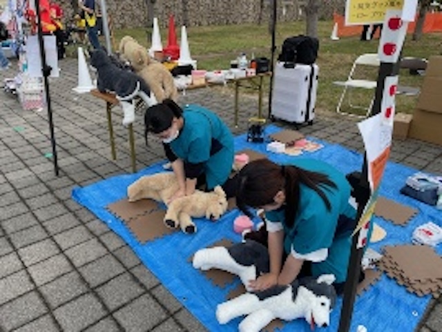 神戸ブレーメン動物専門学校の学生さんが手伝ってくれました